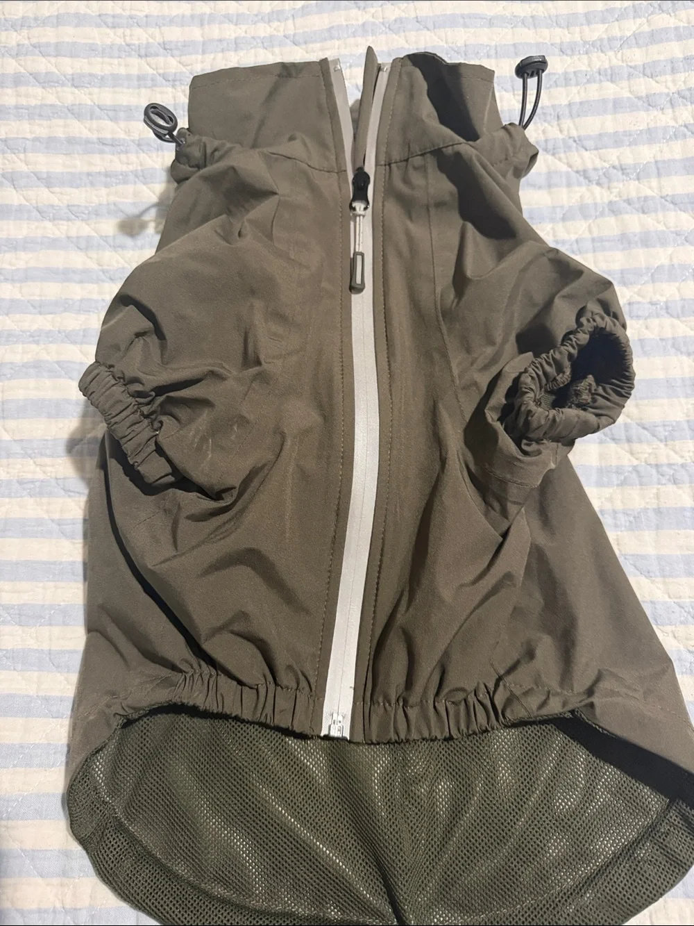 Arcadia Olive Green Waterproof Windbreaker Pet Jacket
